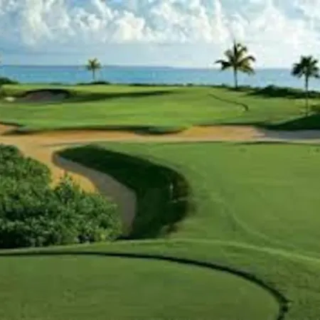 Marbella. Plages Et Golfs. Licencia 2020-e-rc-790 Estepona